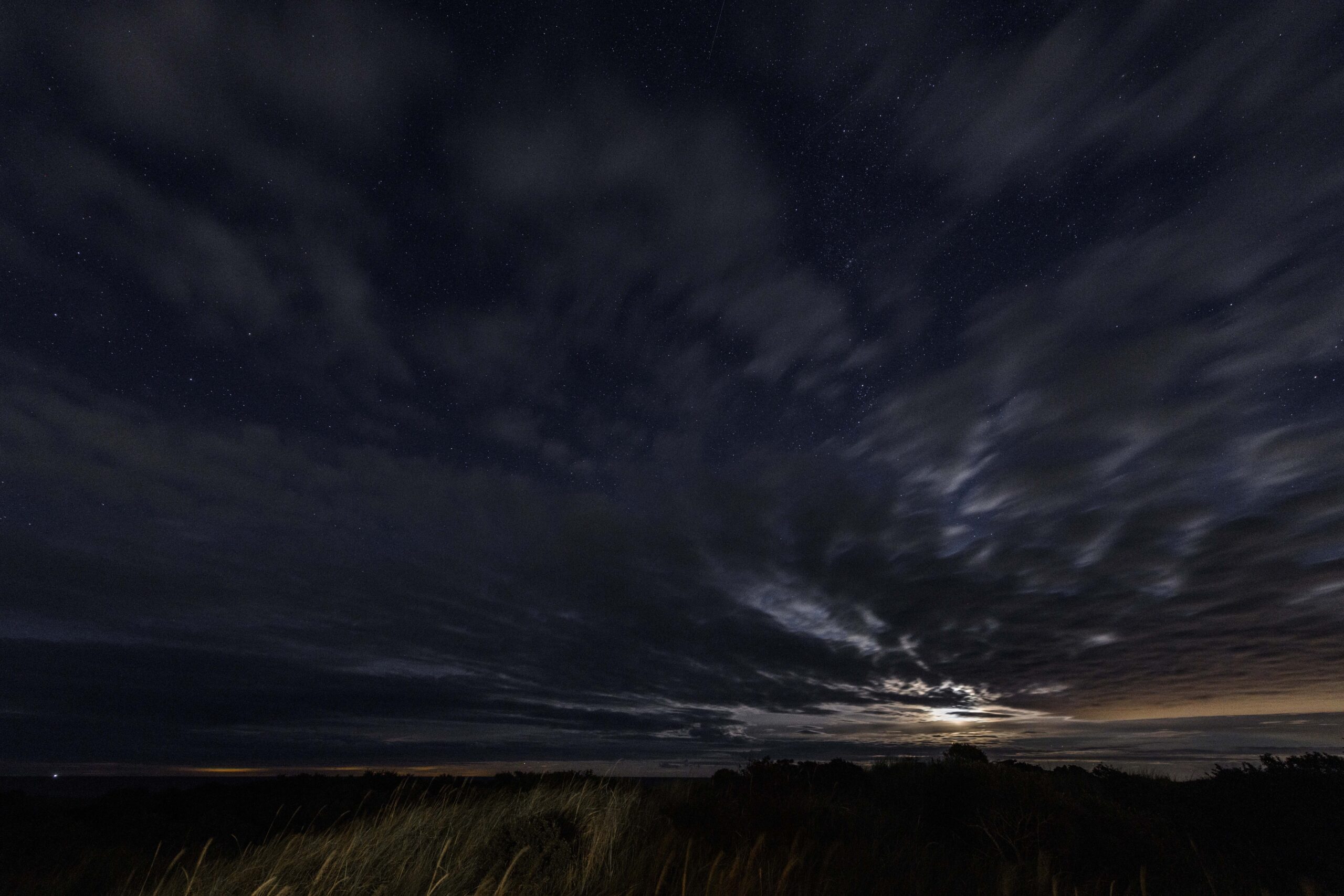 Tannis Bugt. September 2022.