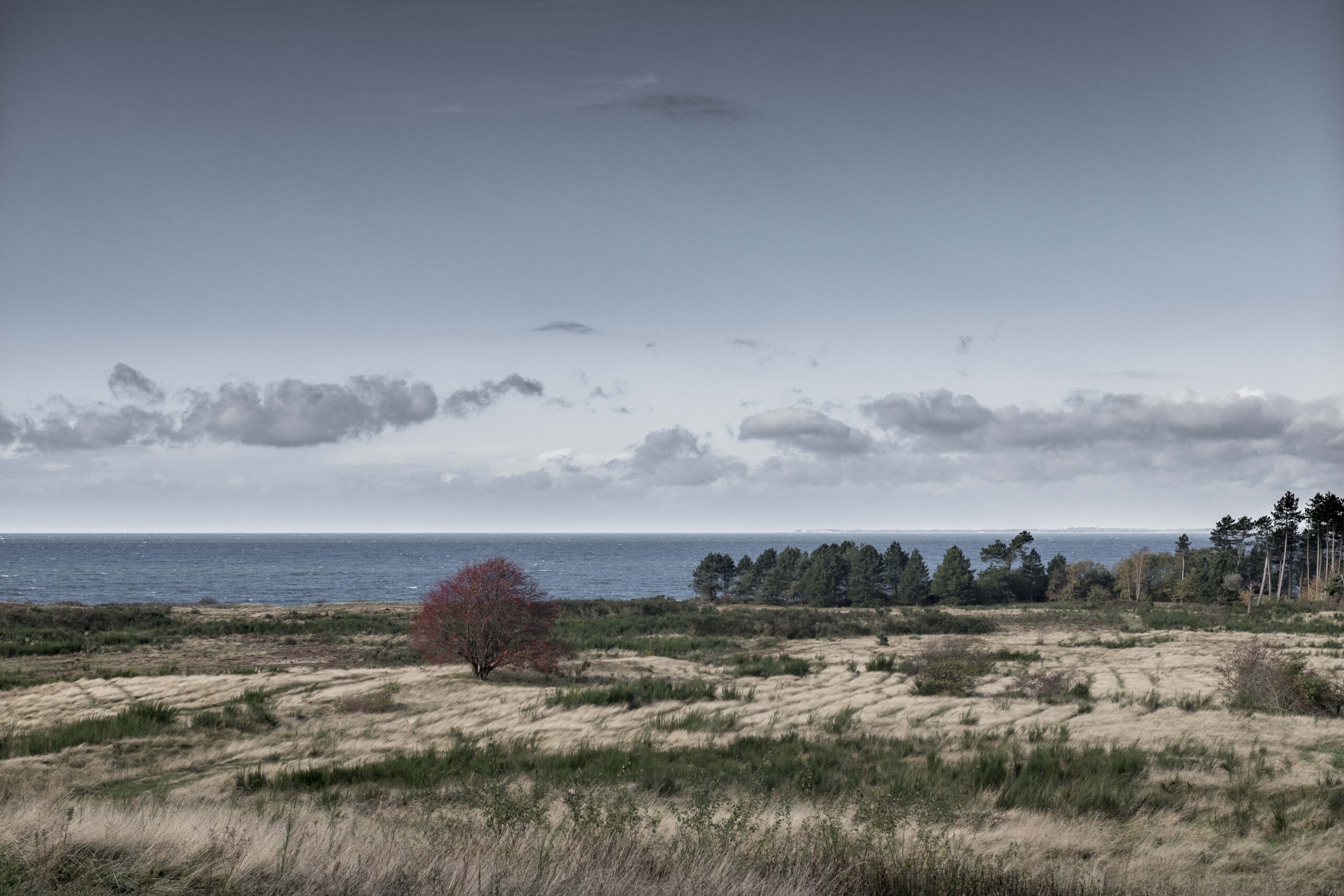 Skamlebæksletten. Oktober 2019.