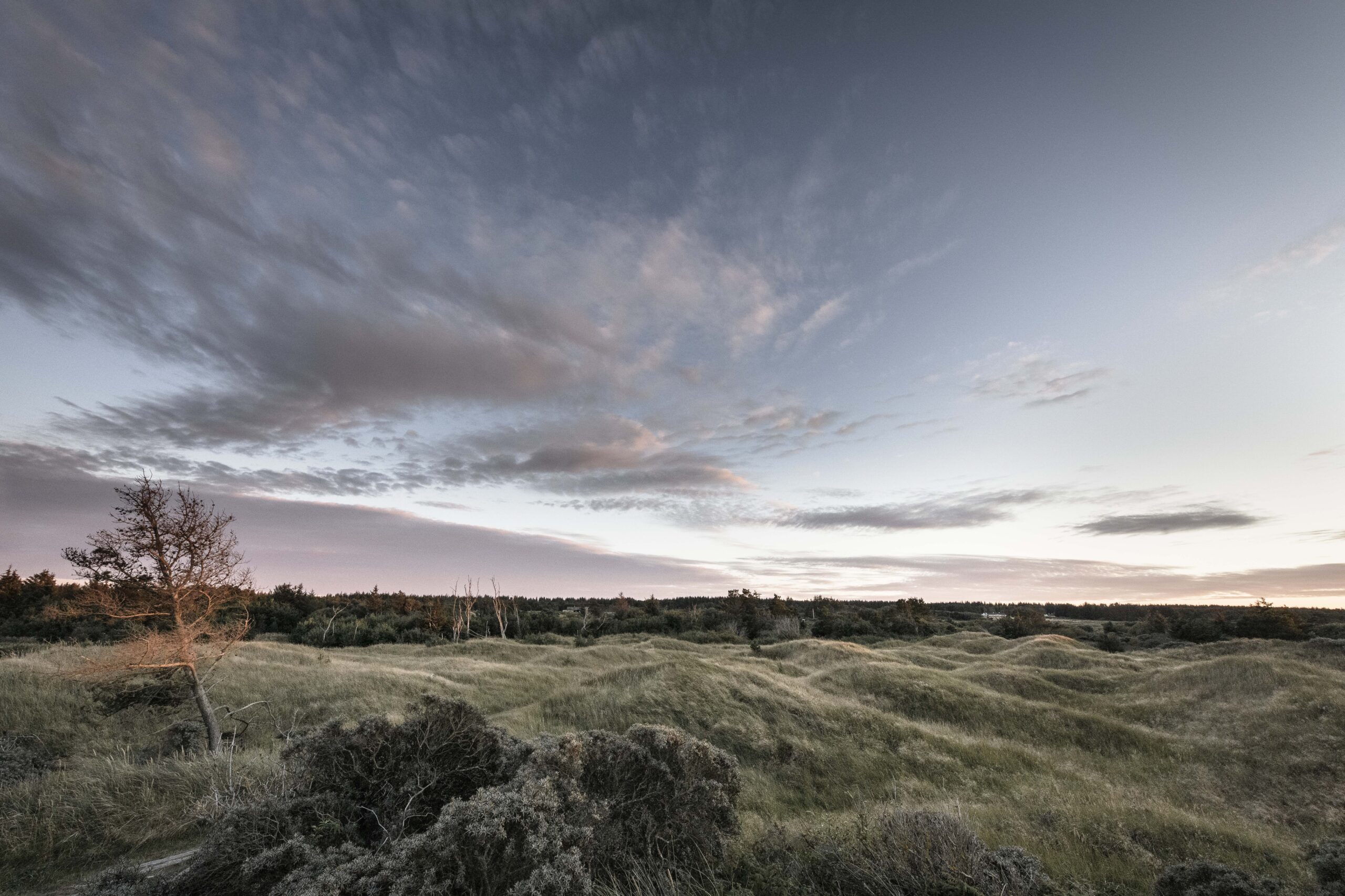 Kjul. September 2022.