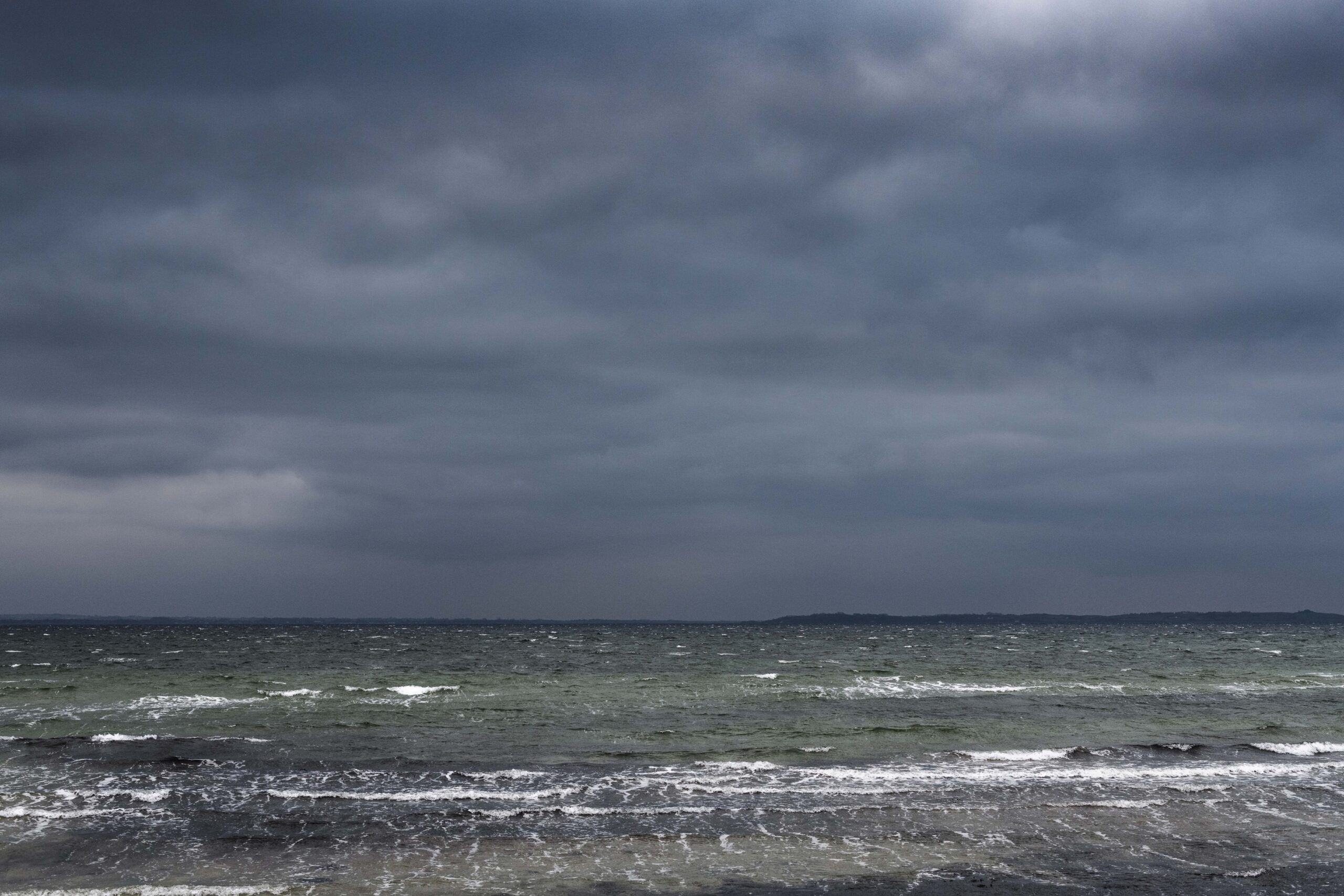 Nekselø Bugt. December 2020.